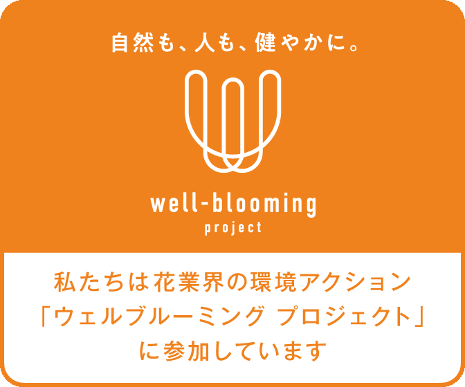 well-blooming-project